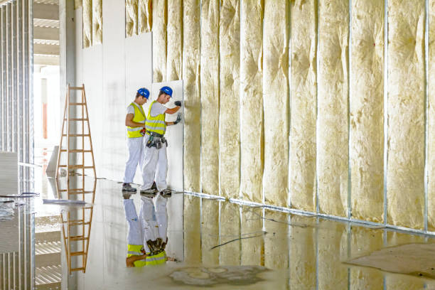 Best Insulation Contractors for Homes  in Shelburne Falls, MA